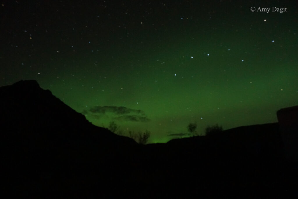 Northern lights in Iceland