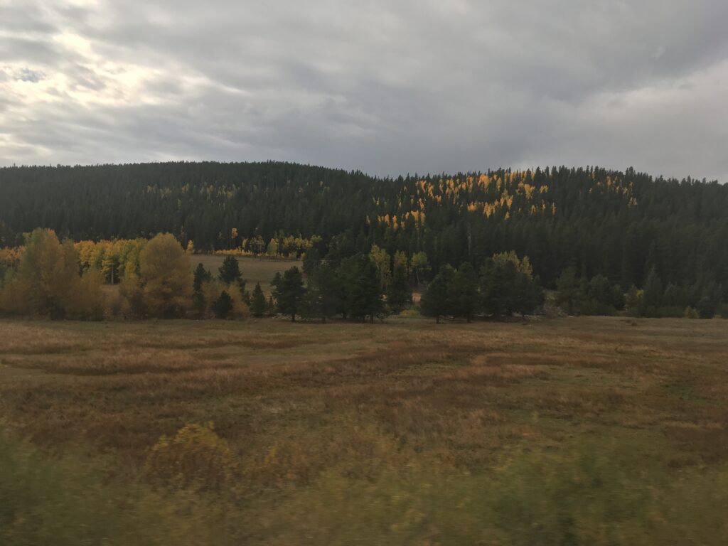 A mountainous landscape of pine trees and yellow aspen