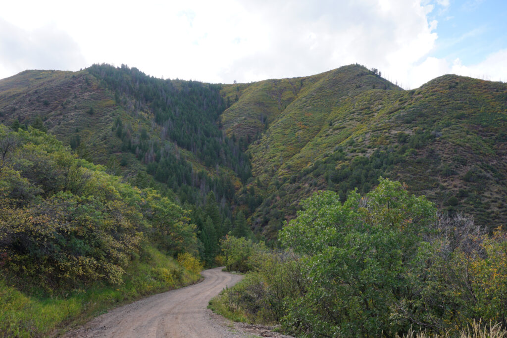 A mountainous landscape with a dirt path winding into the trees