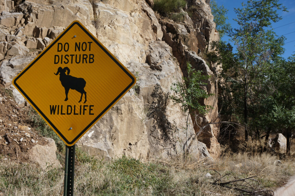 A "do not disturb wildlife" sign with a picture of a bighorn sheep