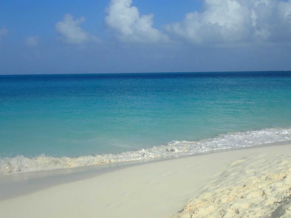 The white sands of Eagle Beach in Aruba with a background of the Caribbean Sea