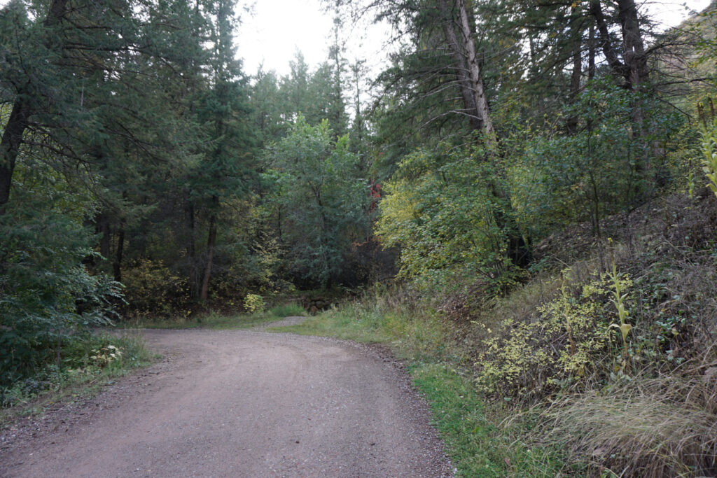 A dirt trail with trees on both sides, turning to the right